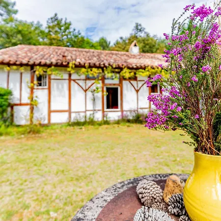 Maison Landaise Richet Dom wakacyjny *