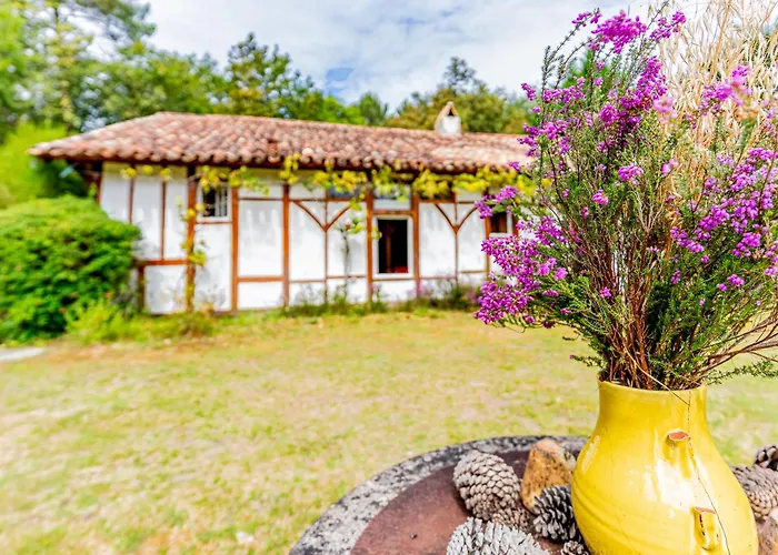 Maison Landaise Richet Σπίτι διακοπών *